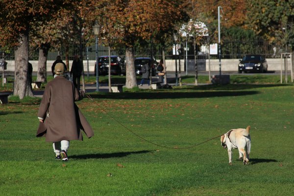 Nourriture riche en protéines pour crevettes : boostez leur reproduction