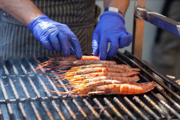 Nourriture riche en protéines pour crevettes : boostez leur reproduction